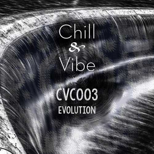 CVC003: Evolution