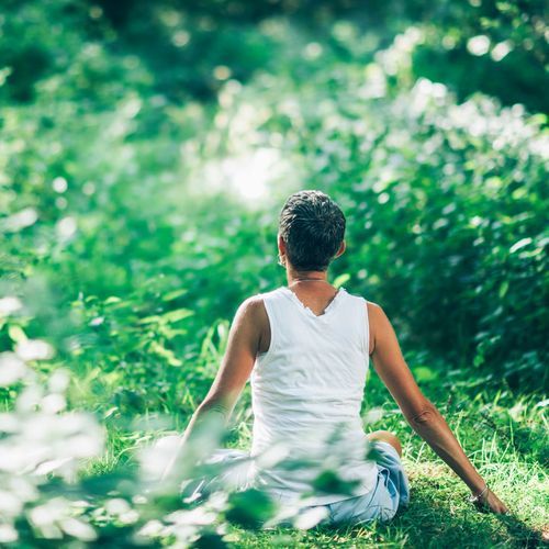 Calm Retreat: Gentle Music for Relaxation