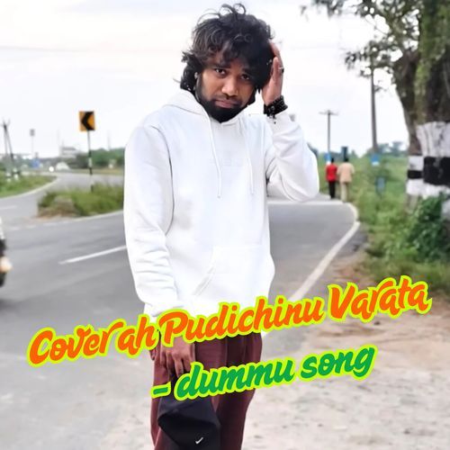 Cover ah Pudichinu Varata - dummu Song