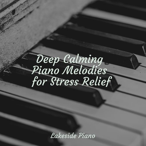 Deep Calming Piano Melodies for Stress Relief_poster_image