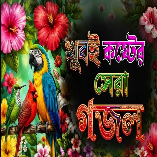 Dekhini Tomay