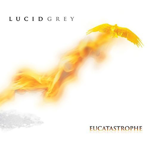 No Wonder cover art