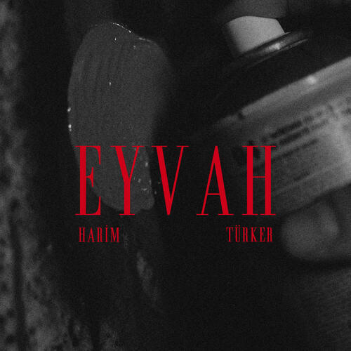 Eyvah_poster_image