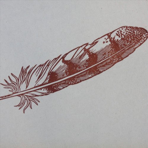 Finch cover art
