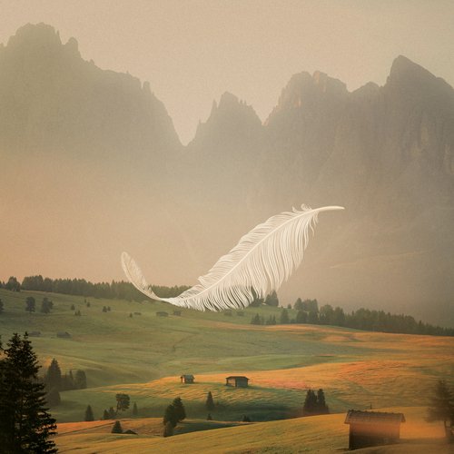 Feather_poster_image