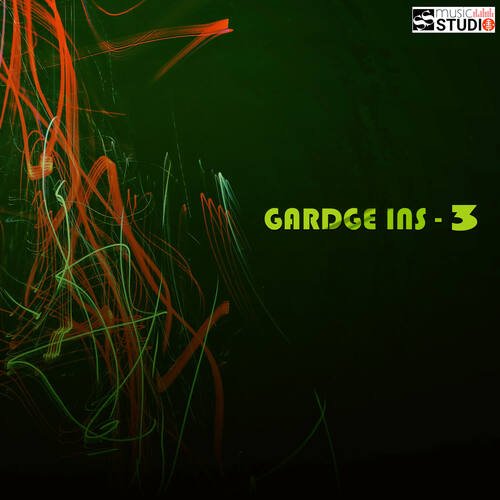 Gardge Ins-3