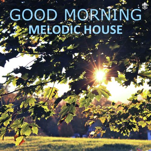 Good Morning Melodic House