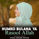Humko Bulana Ya Rasool Allah Lofi