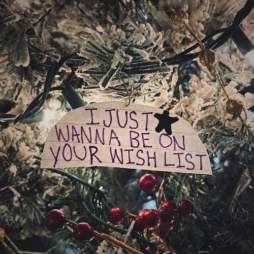 I Just Wanna Be on Your Wish List_poster_image