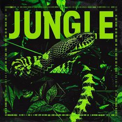 Jungle (VIP MIX)-OCIGZhp8QlI