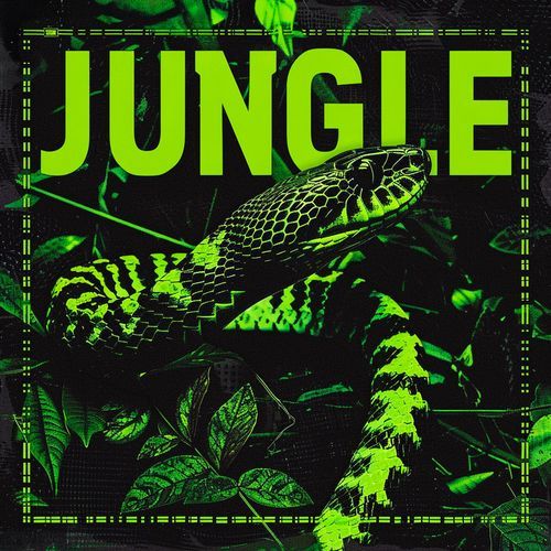 Jungle (Drum and Bass Mix)