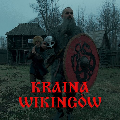 Kraina Wikingów_poster_image