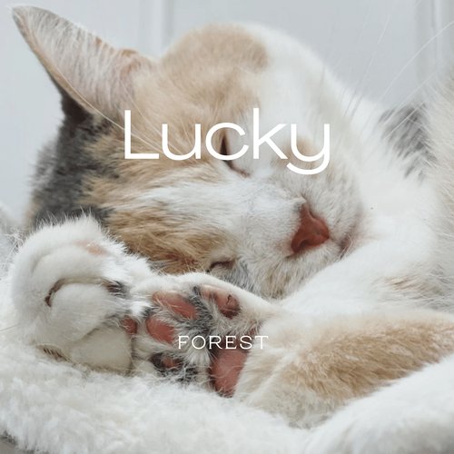 Lucky