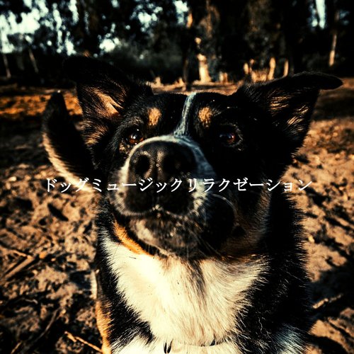 Casual (Music) cover art