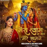 Mera Shyam Aa Jata Mere Samne