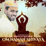 Om Namah Shivaya