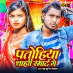 Patohiya Chahi Smart Ge