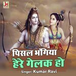 Pisal Bhangiya Heray Gelak Hoo