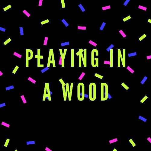 Playing in a Wood_poster_image