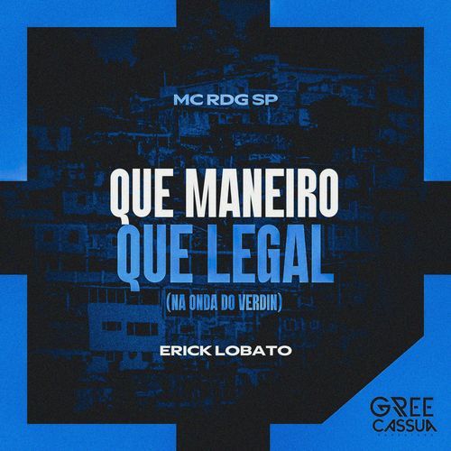 Que Maneiro, Que Legal (Na onda do Verdin)_poster_image