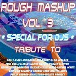 Rough Mashup, Vol. 3 (Special for DJs)