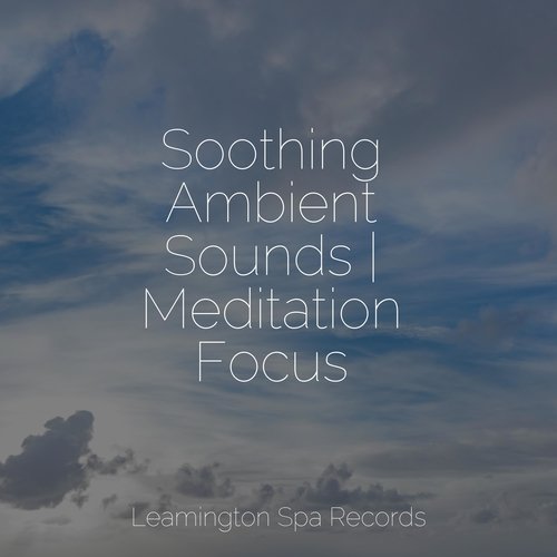 Lazy Morning cover art