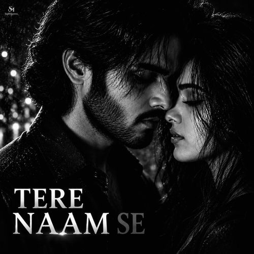 Tere Naam Se