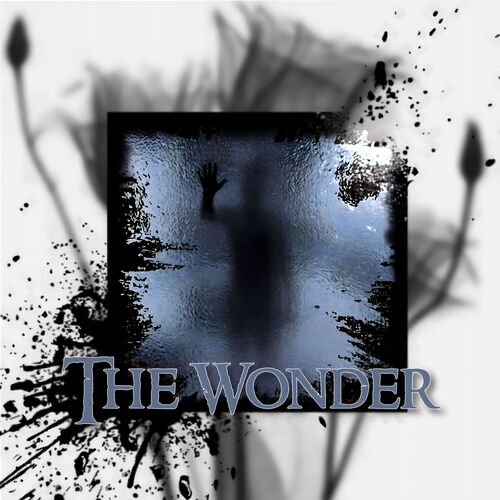 The Wonder