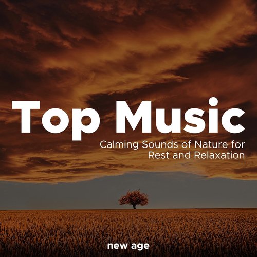Top Music - Relaxing Music, Calming Sounds of Nature for Rest and Relaxation