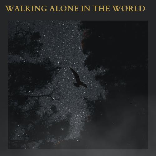 Walking Alone In The World