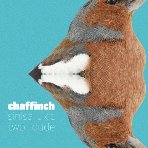 chaffinch cover art