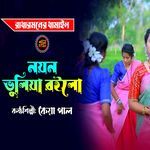 noyon bhuliya roilo