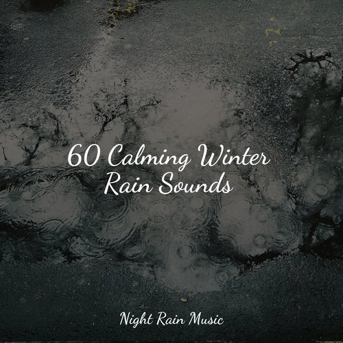 60 Calming Winter Rain Sounds_poster_image