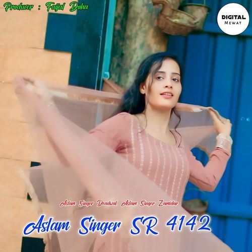 Aslam Singer SR 4142