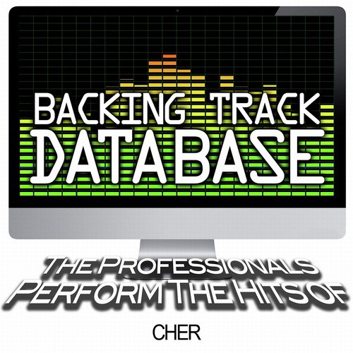 Backing Track Database - The Professionals Perform the Hits of Cher (Instrumental)
