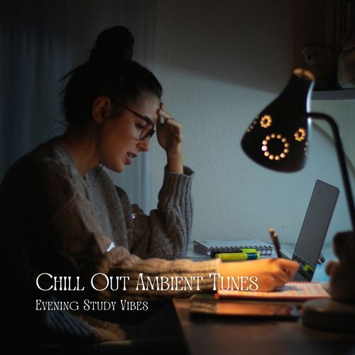 Chill Out Ambient Tunes: Evening Study Vibes_poster_image