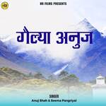 Gailya Anuj artwork