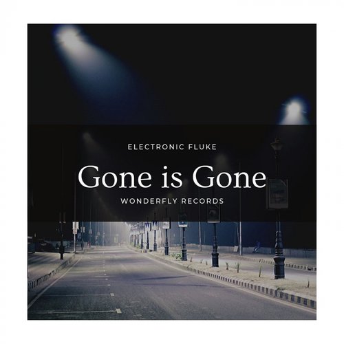 Gone is gone_poster_image