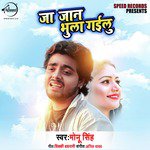 Ja Jaan Bhula Gailu - Single