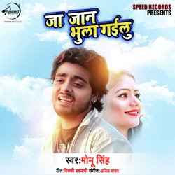 Ja Jaan Bhula Gailu - Single
