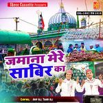 Mohammad Hai Bemisal