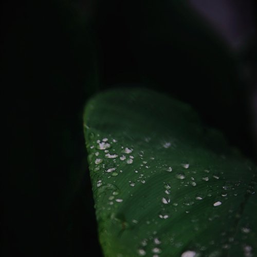 Sonido Relajante cover art