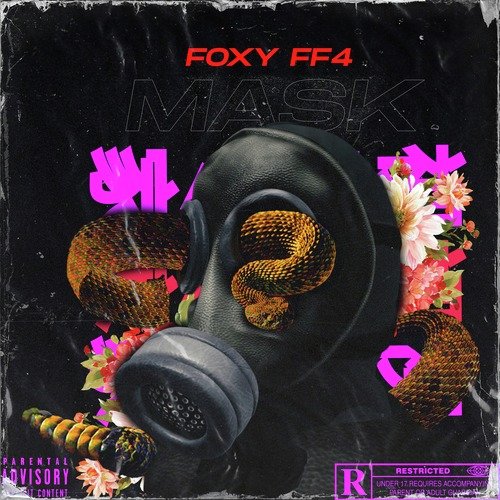 Mask cover art