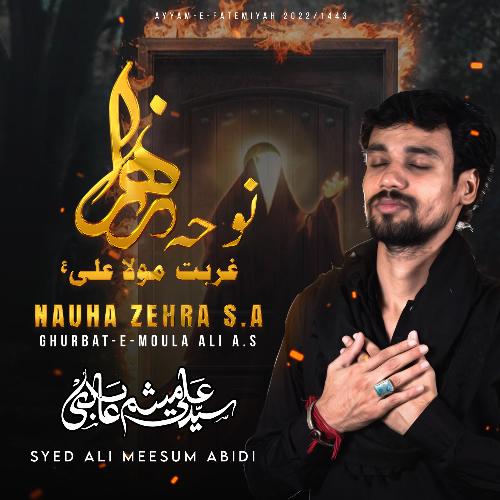 Nauha Zehra