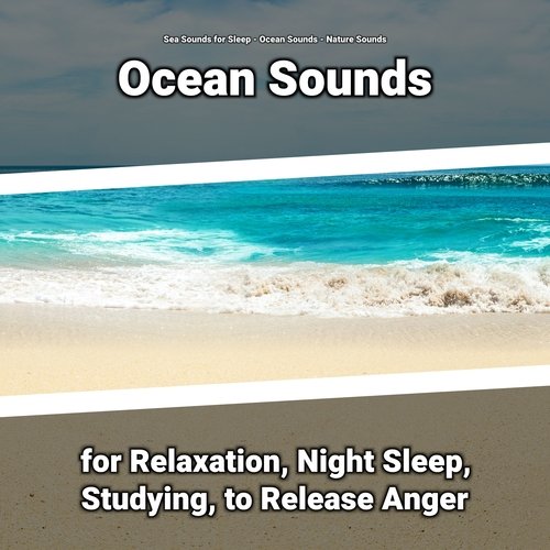 Wave Noises cover art