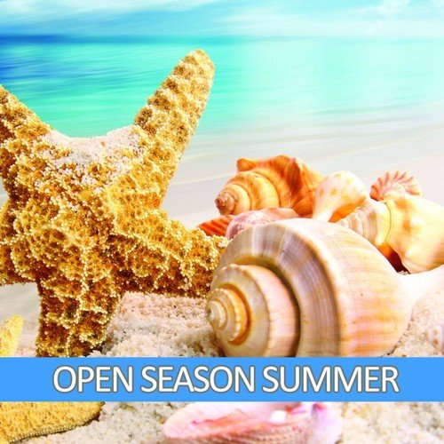 Open Season Summer_poster_image