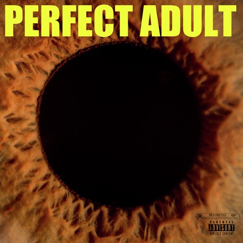 PERFECT ADULT_poster_image