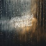 Steady Rainfall for Stress Relief artwork