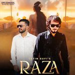 RAZA artwork