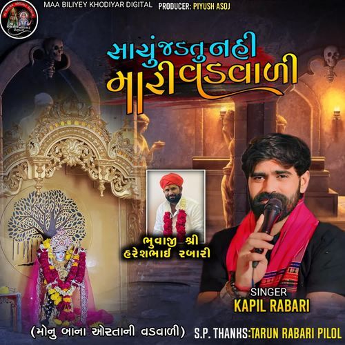 Sachu Jadtu Nai Mari Vadvadi